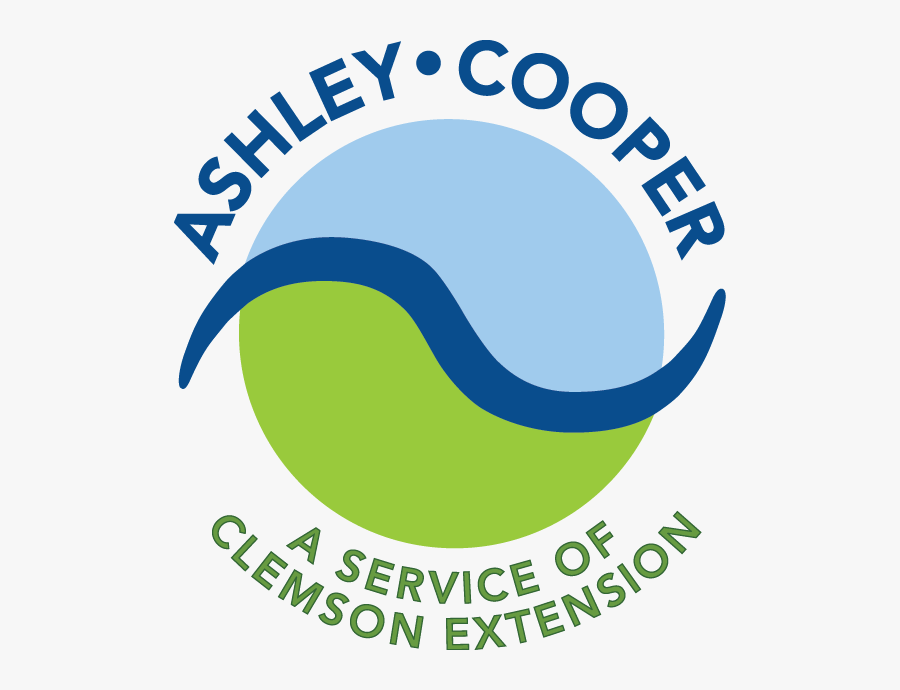 Website Clipart Stormwater - Circle, Transparent Clipart