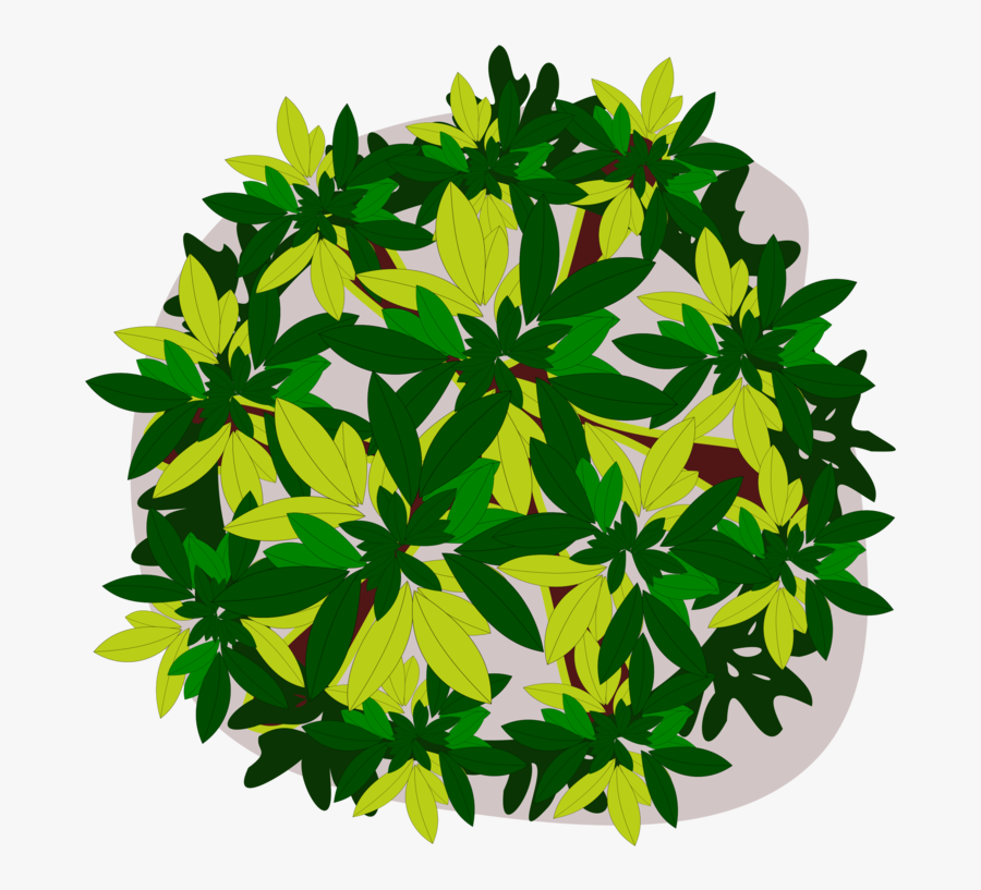 Plant,flower,leaf - Cassava Art Png, Transparent Clipart