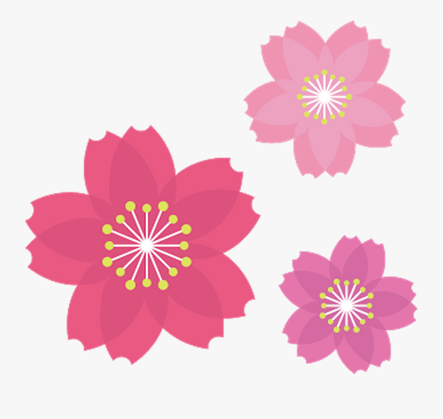 African Daisy Clipart , Png Download - Clip Art, Transparent Clipart