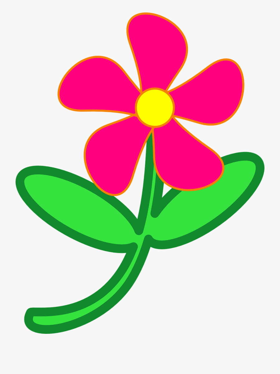 Flower, Pink, Daisy, Garden, Nature, Summer, Flora - Flower Clip Art, Transparent Clipart