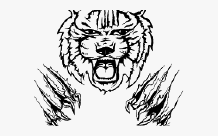 Wildcat Clipart, Transparent Clipart