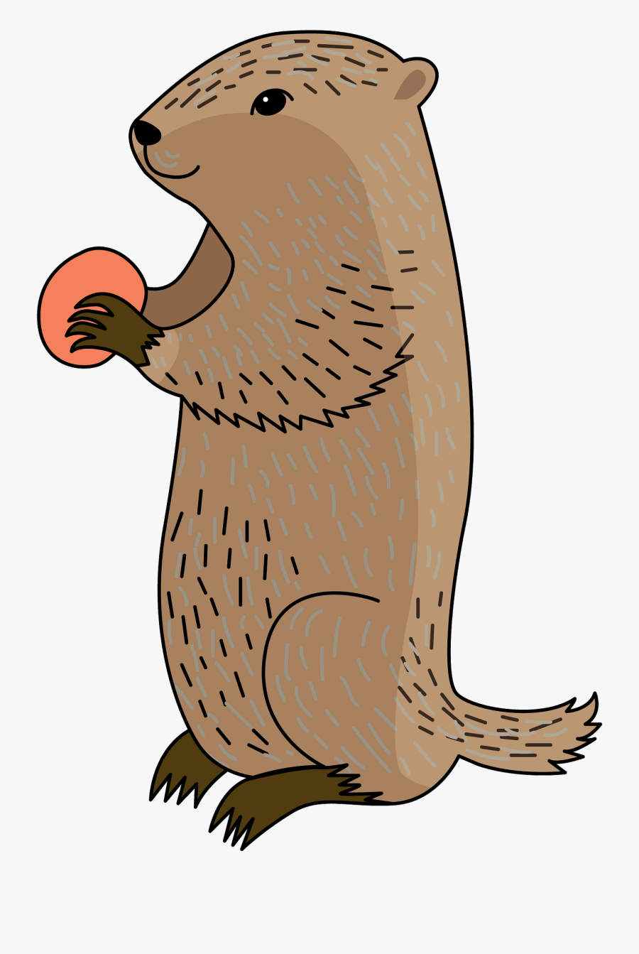 Punxsutawney Phil, Transparent Clipart