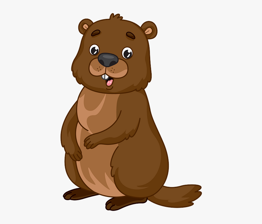Teddy Bear, Transparent Clipart