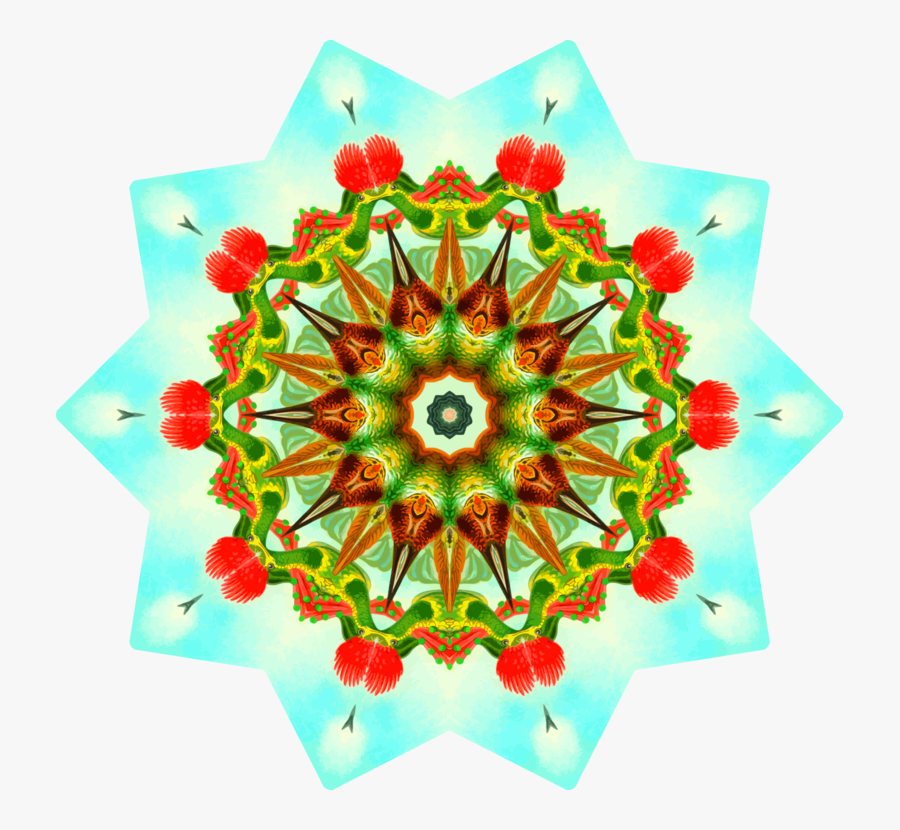Flower,symmetry,petal - Kaleidoscope, Transparent Clipart
