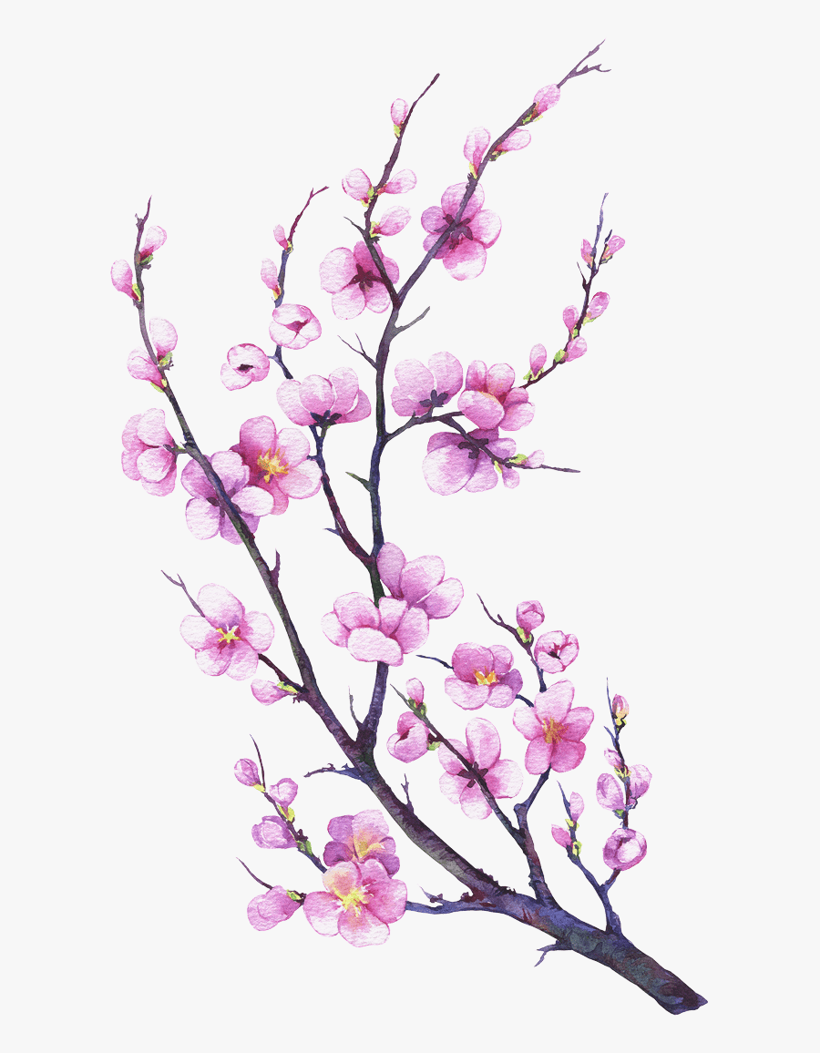 Made From Eggs, Oil, Water, Flour And Salt - Watercolor Painting, Transparent Clipart