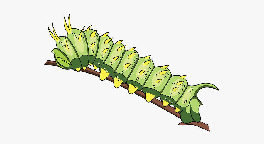 Caterpillar, Transparent Clipart