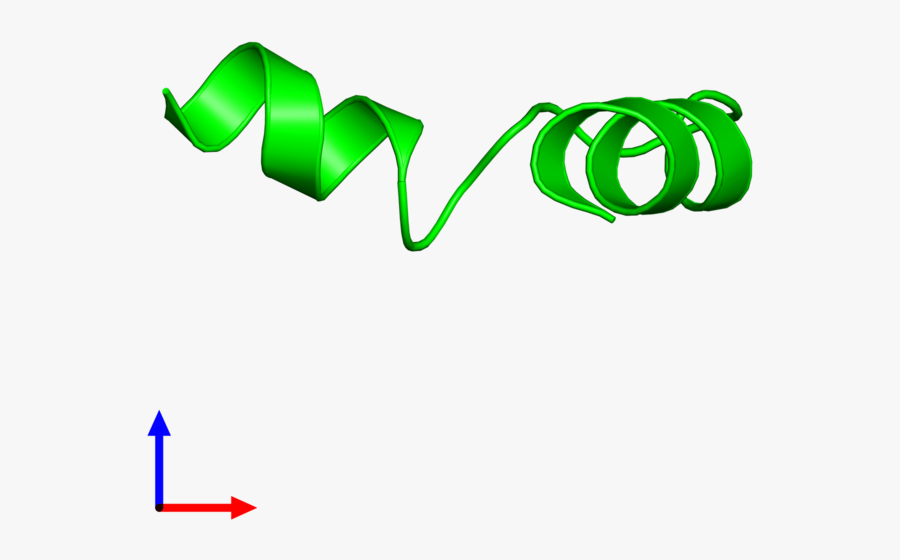 Graphic Design, Transparent Clipart