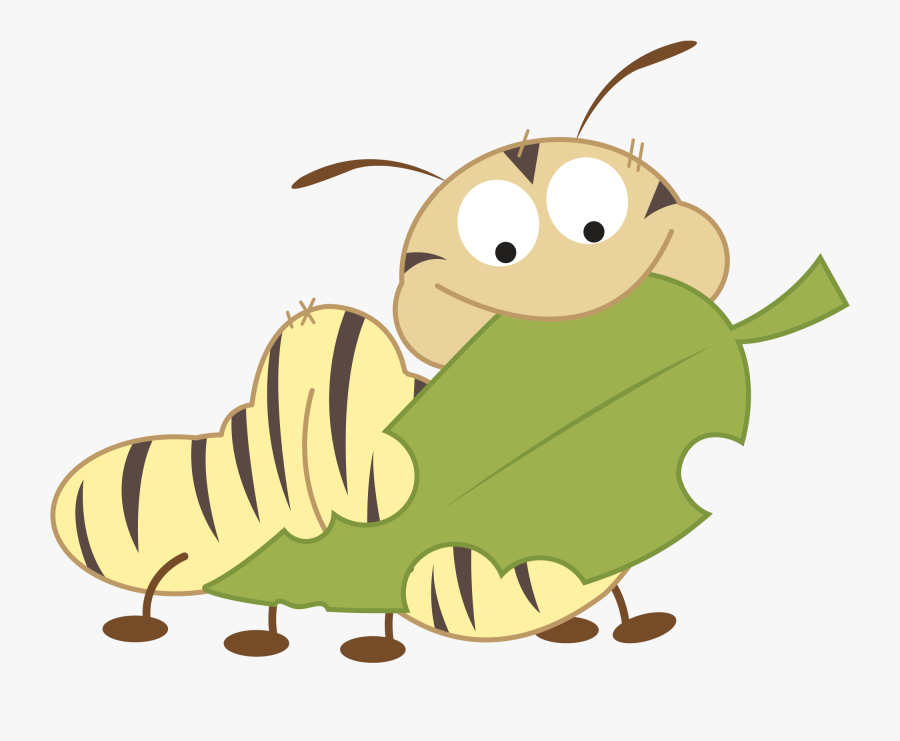 Biological Life Cycle, Transparent Clipart