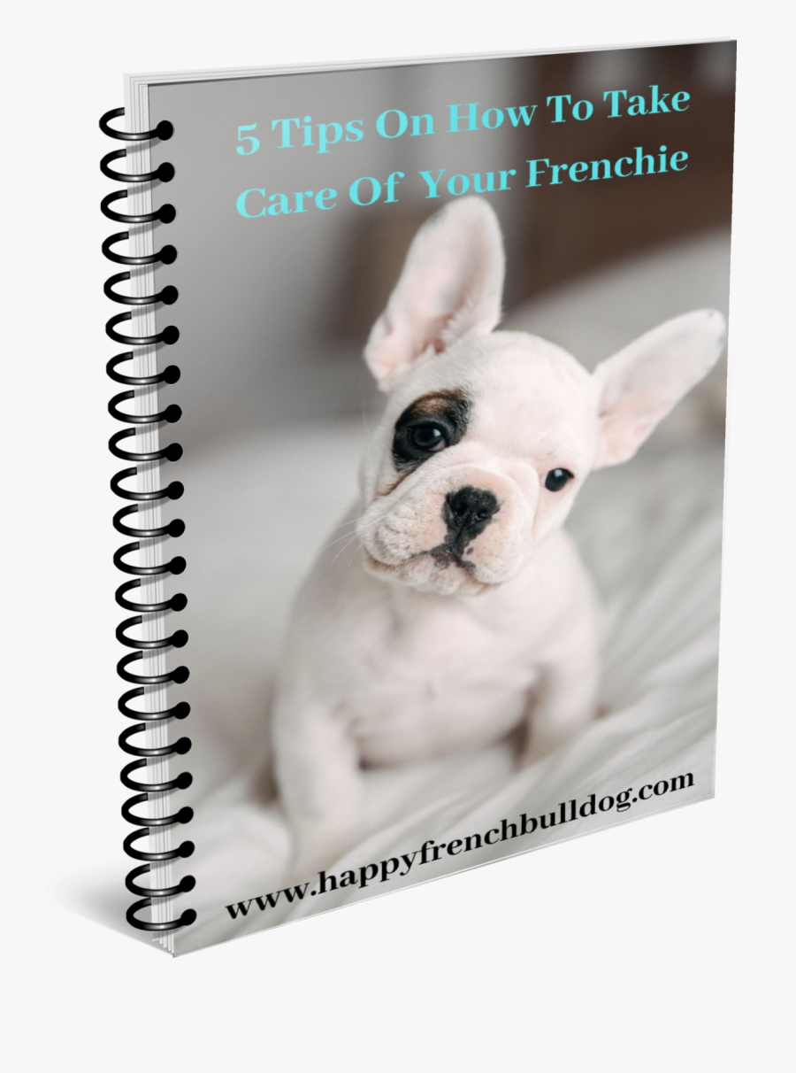 Transparent French Bulldog Png - W16 Smd Transistor Datasheet, Transparent Clipart