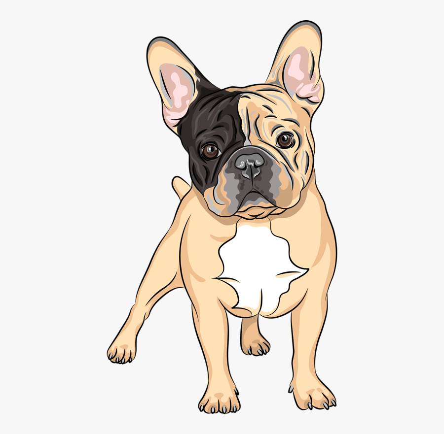 Content Png Pinterest Album - French Bulldog Litter Drawing, Transparent Clipart