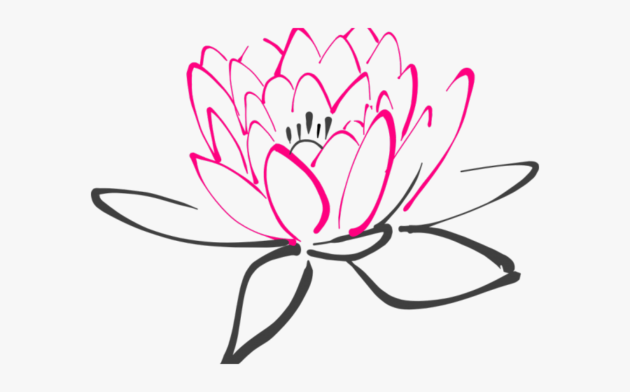 Dark Pink Lotus Flower, Transparent Clipart