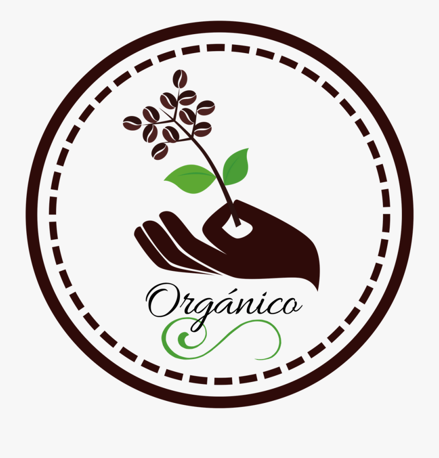 ¡síguenos En Redes Sociales Y Suscríbete A Nuestra, Transparent Clipart