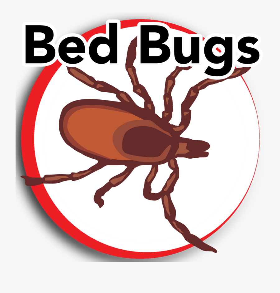 Insect Clipart Bed Bug - Almost Real Things Logo, Transparent Clipart