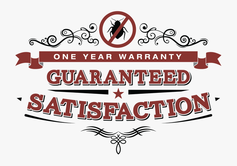 Graphic Design, Transparent Clipart