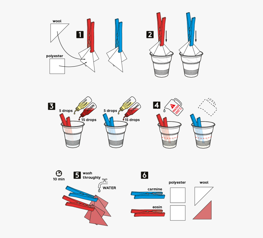 Graphical Step By Step Instruction"
 Src="https , Transparent, Transparent Clipart