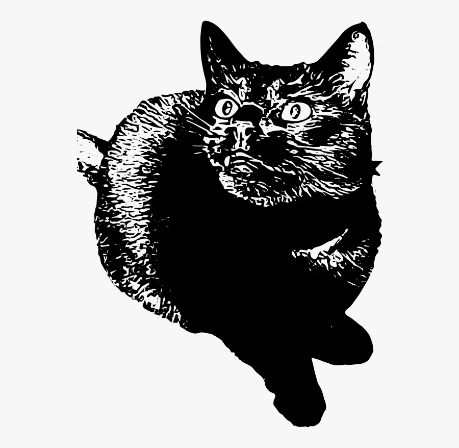 I Want It - Domestic Short-haired Cat, Transparent Clipart