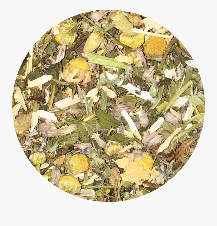 Transparent Catnip Png - Plant Pathology , Free Transparent Clipart ...