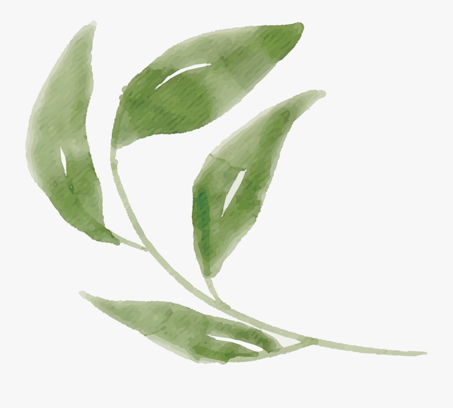 Illustration, Transparent Clipart