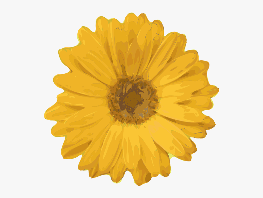 Orange Flower Clipart Gerbera Daisy - Red Flower Clip Art, Transparent Clipart