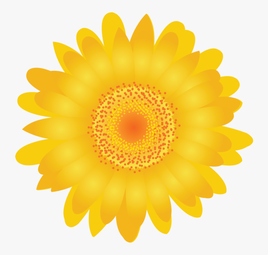 50 Discount Logo Png, Transparent Clipart