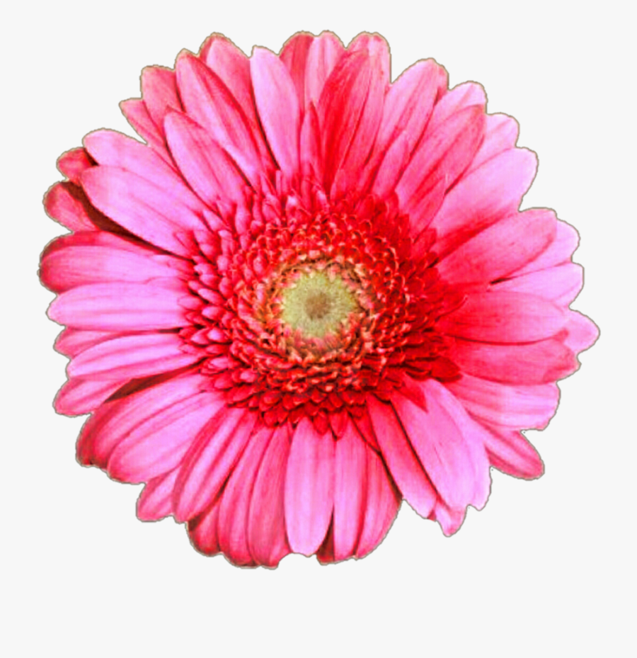 3 Png, Pixels, Transparent Clipart