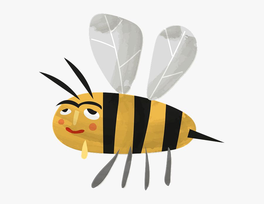 Honeybee, Transparent Clipart