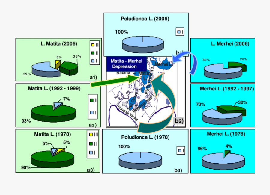 Magnetic Susceptibility Of The - Cartoon, Transparent Clipart
