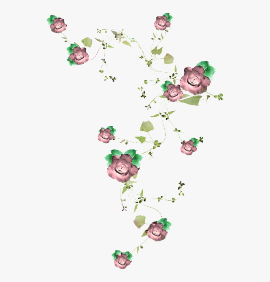 #vine #flowers #roses #trellis #garden - Illustration, Transparent Clipart