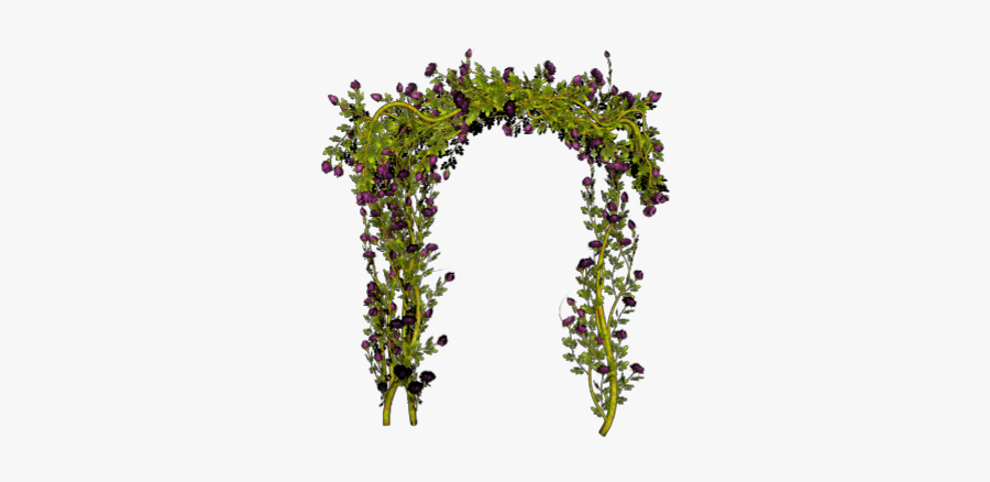 Ftestickers Vine Greenery Trellis Weddingarch Garden Arch Png Rose Free Transparent Clipart Clipartkey Ftestickers Vine Greenery Trellis Weddingarch Garden Arch Png Rose Free Transparent Clipart Clipartkey