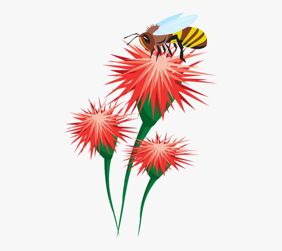 Pollination Clipart Diagram - Bee On Flower Clipart, Transparent Clipart