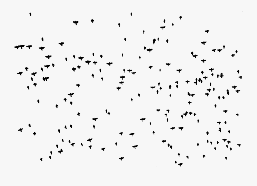 Transparent Flock Of Geese Clipart - Flock, Transparent Clipart