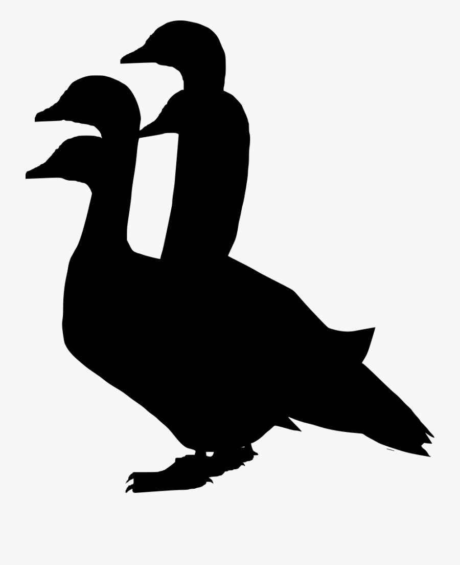 Duck, Transparent Clipart