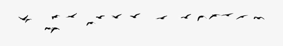 Silhouette Birds Flying Png, Transparent Clipart