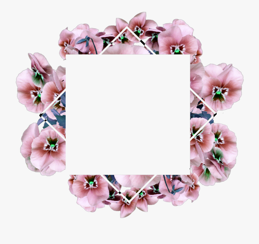 #ftestickers #flowers #frame #transparent #spring #springtime - Transparent Picsart Frames, Transparent Clipart