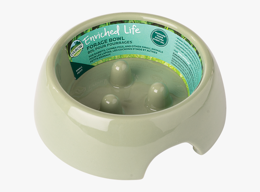 Forage Bowl - Foraging Bowls Exotic Animals, Transparent Clipart