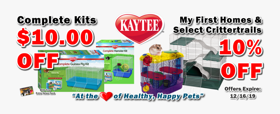 Play, Transparent Clipart