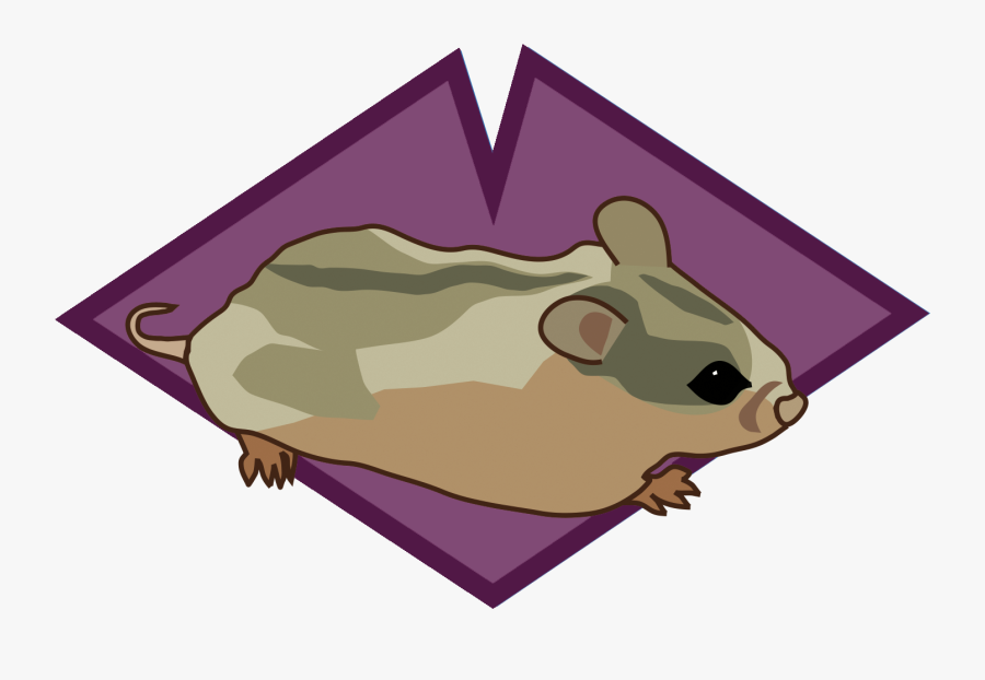 Little Brown Myotis, Transparent Clipart