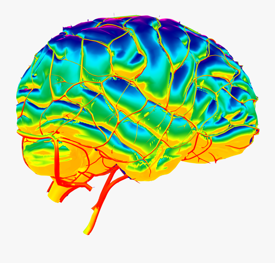 Brain Png Download - Illustration, Transparent Clipart