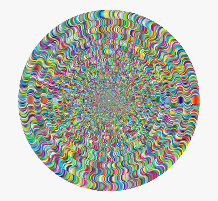 Circle,organism,symmetry - Circle, Transparent Clipart