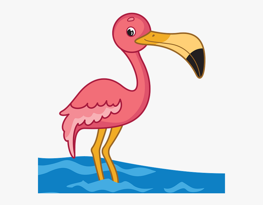 Water Bird, Transparent Clipart