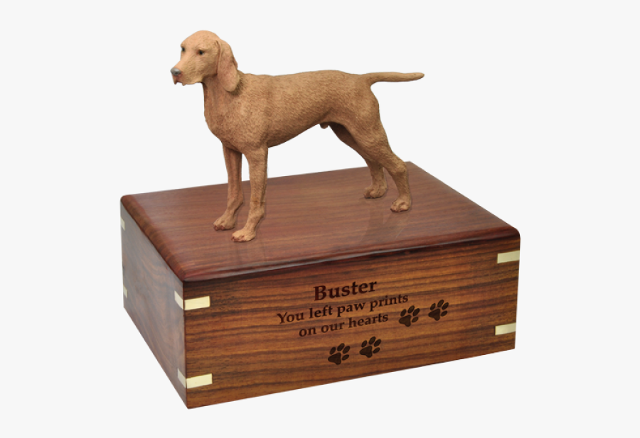 Collie Urn, Transparent Clipart