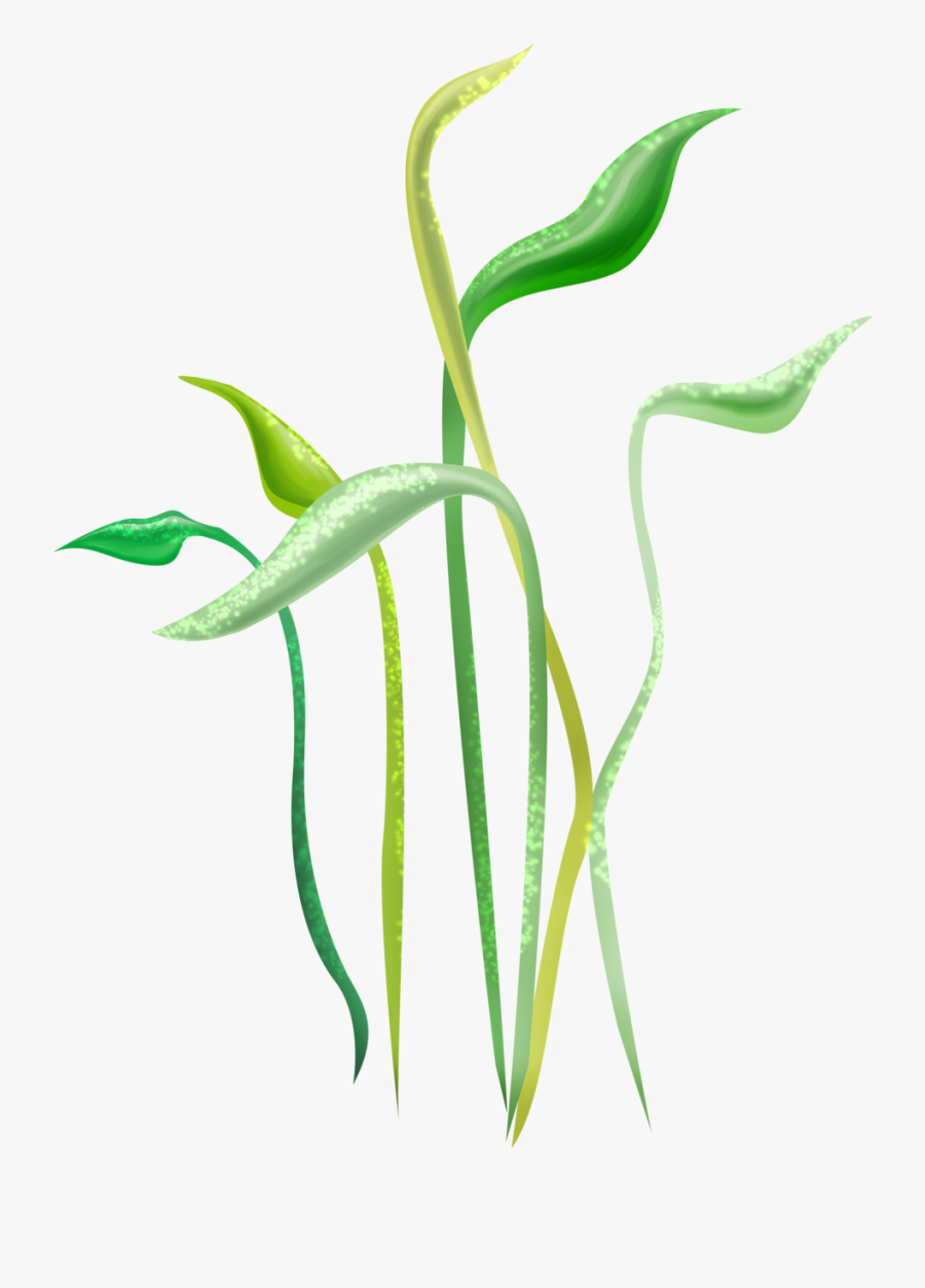 Illustration, Transparent Clipart