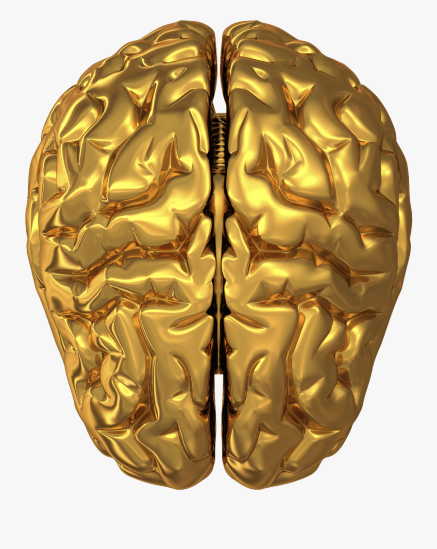 Gold Brain, Transparent Clipart