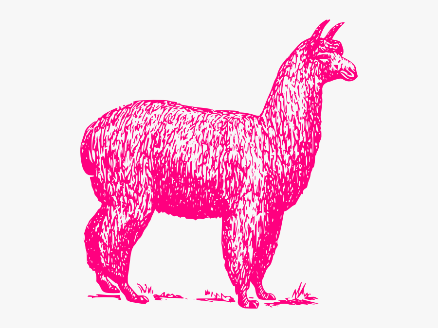 Alpaca Clipart Pink - Alpaca Is My Spirit Animal, Transparent Clipart