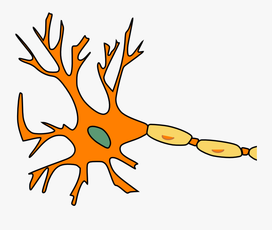 Multiple Sclerosis No Background, Transparent Clipart