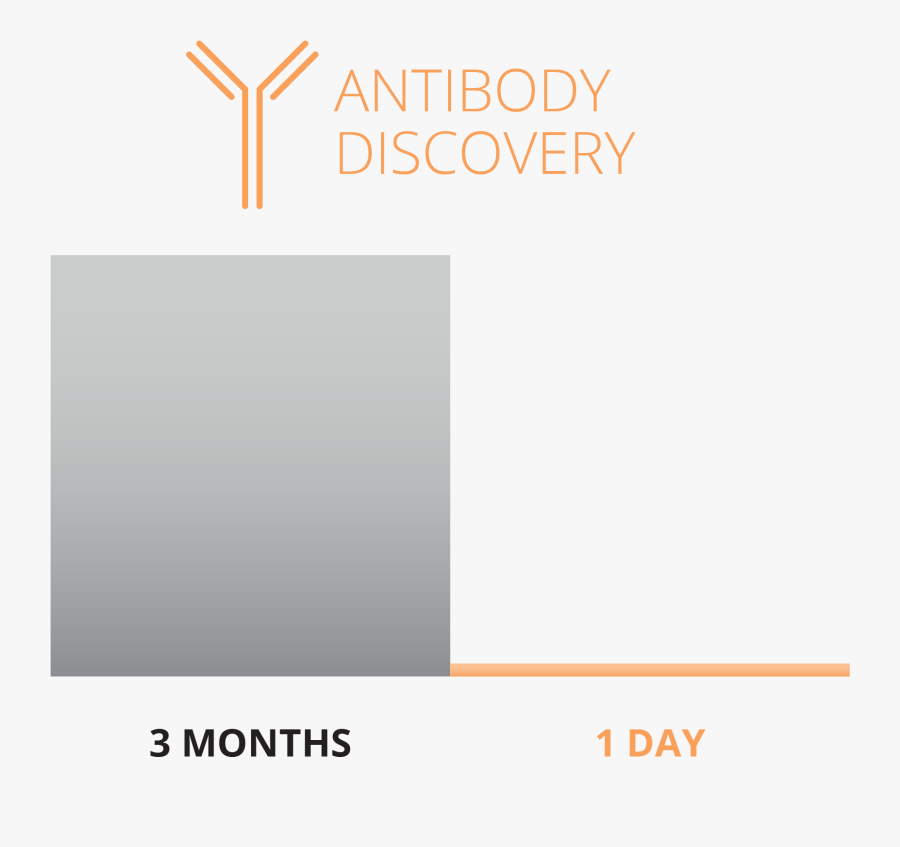 Transparent Antibody Png - Tan, Transparent Clipart