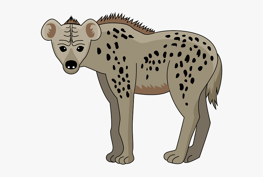 Spotted Hyena, Transparent Clipart