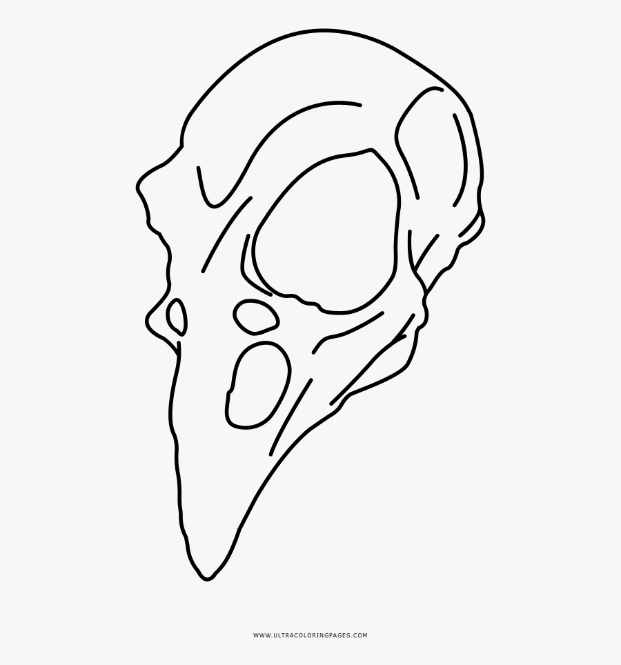 Sketch, Transparent Clipart