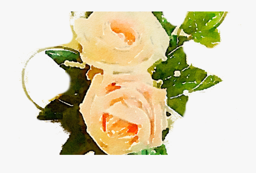 Transparent Vine Clipart, Transparent Clipart