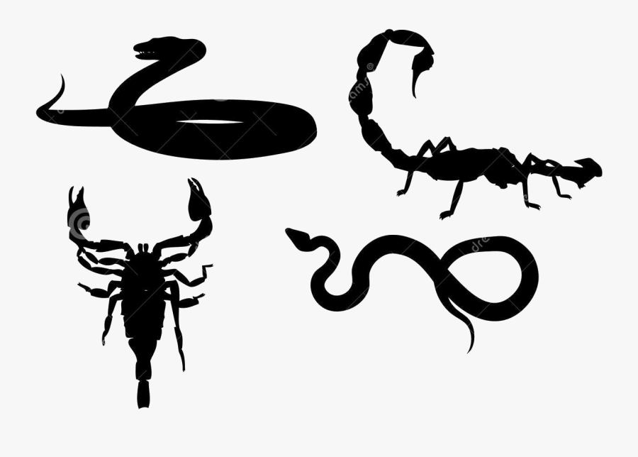 Bio Anti Nuisible Dératisation Désinsectisation - Snakes And Scorpions Clipart, Transparent Clipart